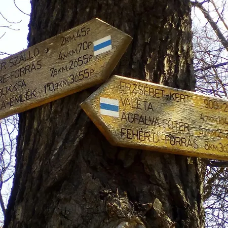 Deák apartmanok Sopron Kültér fotó